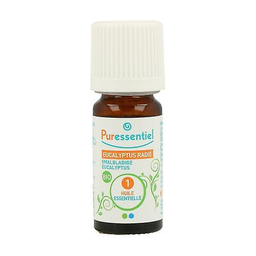 Puressentiel Eucalyptus radiata 10 ml of essential oil on Productcaster.