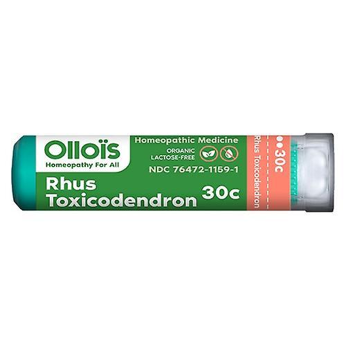 Ollois Rhus Toxicodendron 30C, 80 Peaces (Pellets) (Pack de 1) on Productcaster.