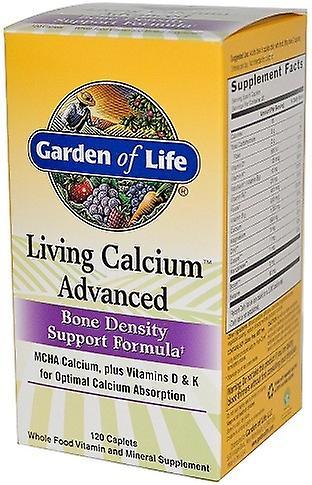 Garden of Life Living Calcium Advanced 120 Veggie Capsules 658010112635 on Productcaster.