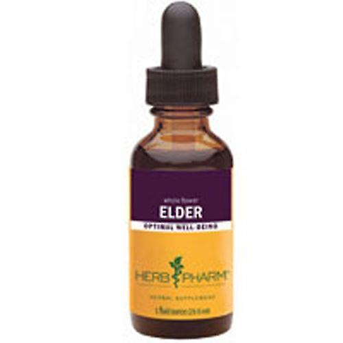 Herb Pharm Elder Extract, 1 Oz (Pack of 3) on Productcaster.