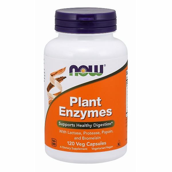 Now Foods Plant Enzymes, 120 Vcaps (Pack of 4) on Productcaster.