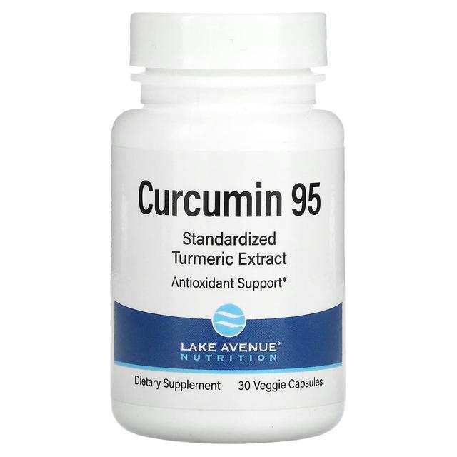 Lake Avenue Nutrition Lake Avenue Näring, Curcumin 95, 500 mg, 30 Veggie kapslar on Productcaster.