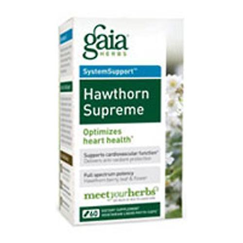 Gaia Herbs Gaia Byliny Hawthorn Supreme, 60 čiapky (balenie po 1) on Productcaster.