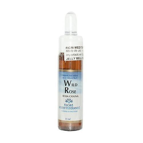 Forza Vitale FM Wild Rose 10 ml kvetinového elixíru on Productcaster.