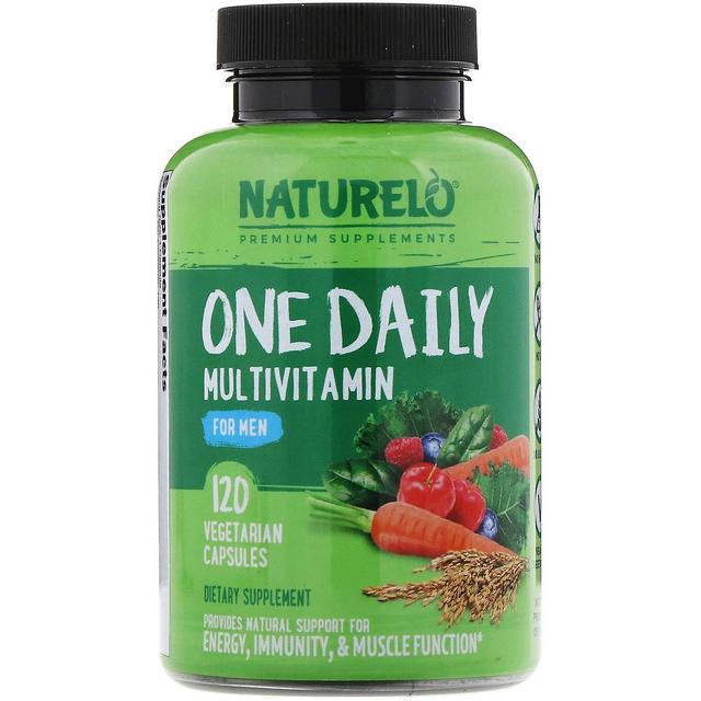 NATURELO, One Daily Multivitamin for Men, 120 Vegetarian Capsules on Productcaster.