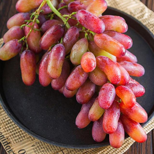 100Pcs Grape Seeds Strong Vitality Natural Eco-friendly Georgic Grape Fruit Seeds for Orchard on Productcaster.