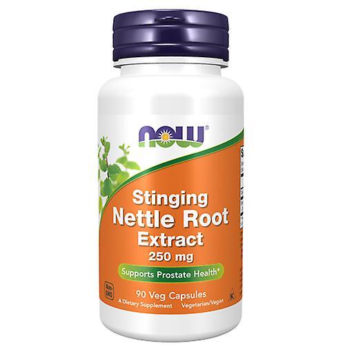 Now Foods Stinging Nettle Root Extract,250 mg,90 Veg Caps (Pack of 3) on Productcaster.