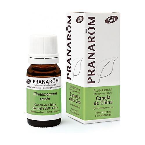 Pranarôm Chinese Cinnamon Essential Oil 10 ml of essential oil (Cinnamon) on Productcaster.