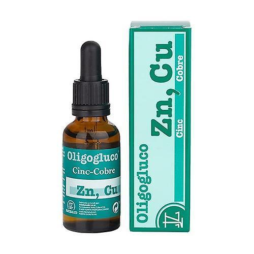 Equisalud Oligogluco Zinc Copper 31 ml on Productcaster.