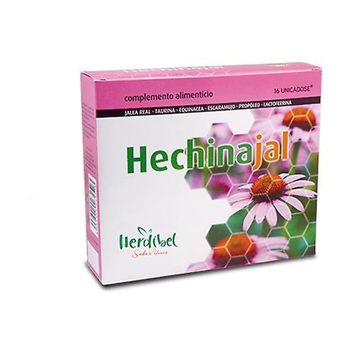 Herdibel Hechinajal food supplement 16 ampoules of 10ml on Productcaster.