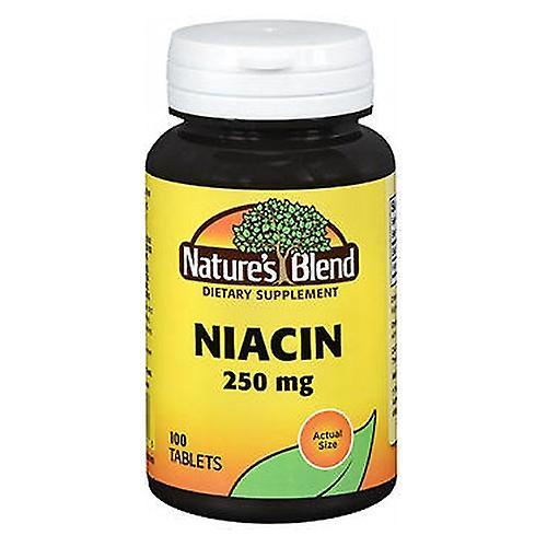 Nature's Blend Niacin, 250 mg, 100 záložiek (Balenie po 1) on Productcaster.