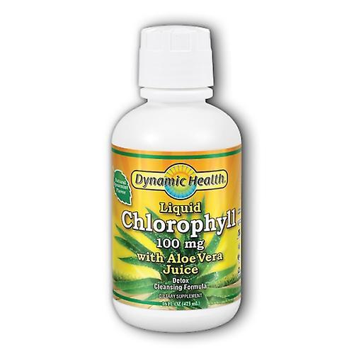 Dynamic Health Laboratories Chlorophyl Liquid With Aloe Vera, 16 Oz (Pack of 1) on Productcaster.