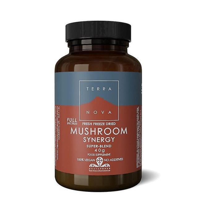 Terra Nova Terranova Mushroom Synergy Super-Blend poeder 40g (T2367) on Productcaster.