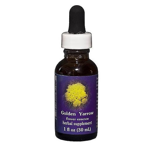 Flower Essence Services Golden Yarrow Dropper, 1 oz (Pack of 2) on Productcaster.