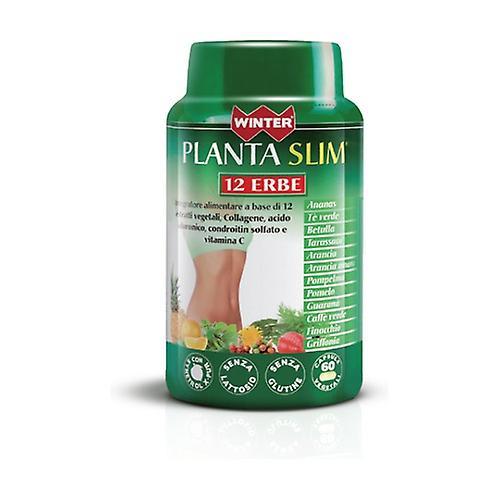 Winter Natura Slim plant 12 herbs 60 tablets on Productcaster.