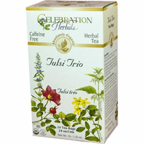 Celebration Herbals Organic Tulsi Trio Tea, 24 Bags (Pack of 1) on Productcaster.