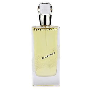 Chantecaille Kalimantan eau de parfum spray - 75ml/2.6oz on Productcaster.