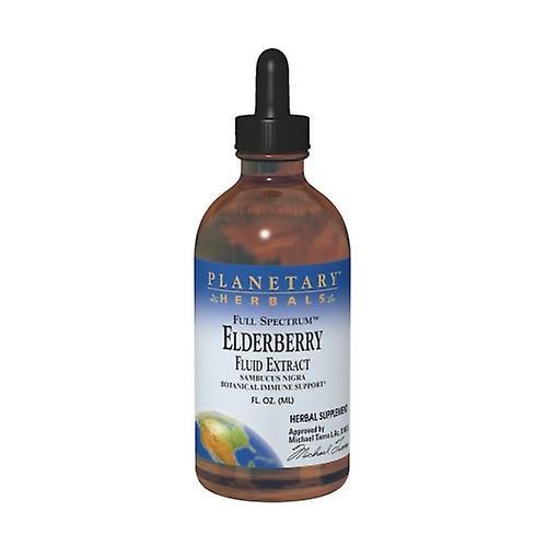 Planetary Herbals Full Spectrum Elderberry, Fluid Extract 4 Fl Oz (Pack of 3) on Productcaster.