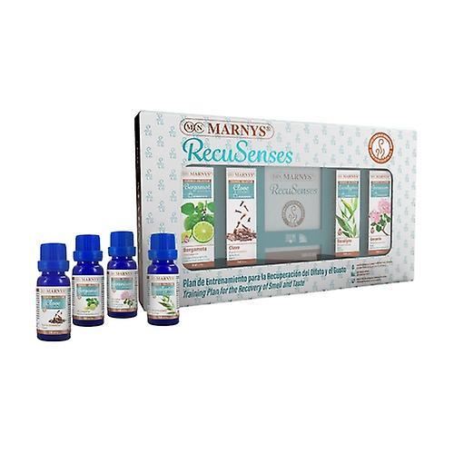 Marny's Recusenses set 1 smell 4 units (Eucalyptus - Clove) on Productcaster.