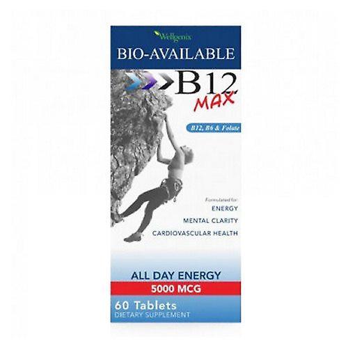 Wellgenix Health BioAvailable B12 Max,5000mcg,60 Tabs (Pack of 1) on Productcaster.