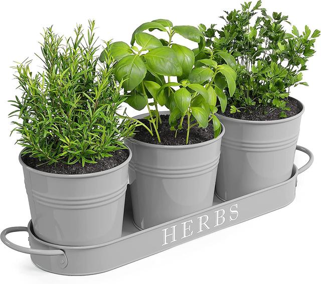 Hgbd-barnyard Designs Farmhouse Herb Garden Planter Indoor Planter Set With Tray Or Outdoor Apartment Window Planter Box, Windowsill Planter Box, Indo on Productcaster.