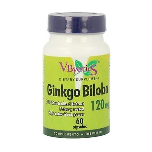 Vbyotics Ginkgo Biloba 120 capsules on Productcaster.