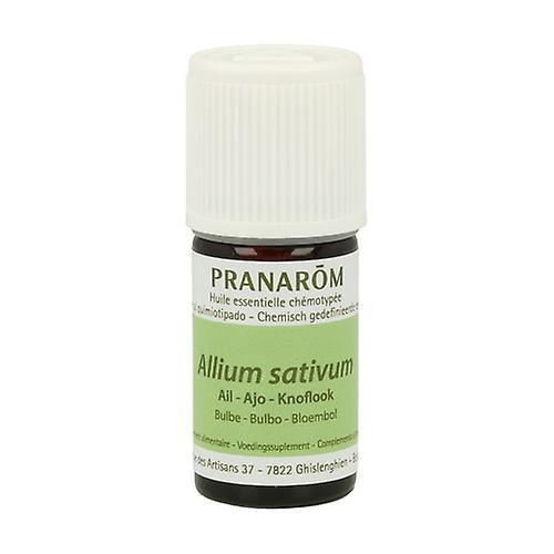 Pranarôm Garlic essential oil 5 ml of essential oil on Productcaster.