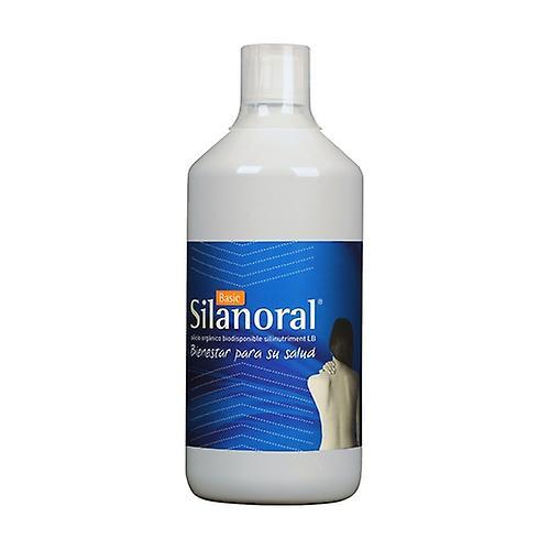 MCA Productos Naturales Basic Silanoral 1 L on Productcaster.