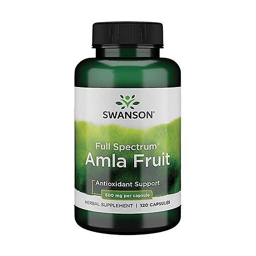 Swanson Ensiluokkaiset täyden spektrin amla-hedelmät 500mg 120 500mg kapselia on Productcaster.