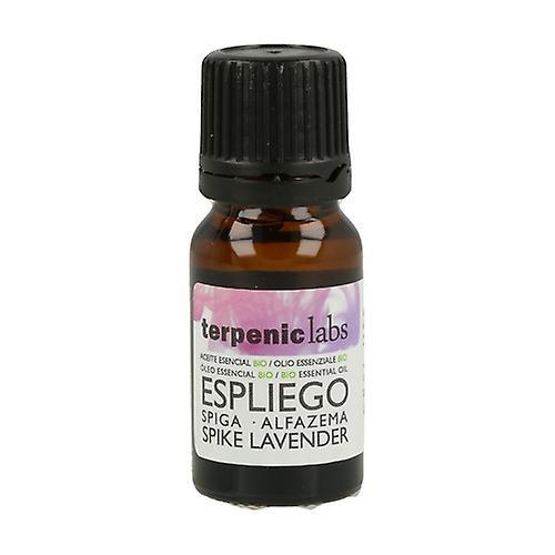 Terpenic Essential Oil of English Lavender 10 ml of essential oil on Productcaster.