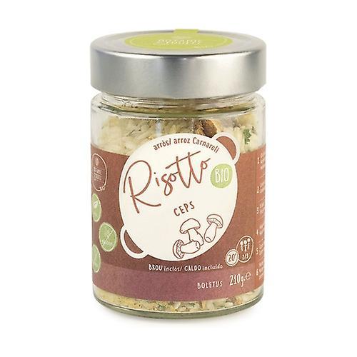 Botanic & Fruits Gluten-free boletus risotto 210 g on Productcaster.