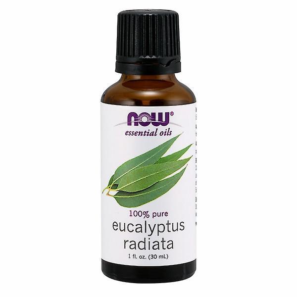 Now Foods Eucalyptus Radiata, 1 Oz (Pack of 1) on Productcaster.