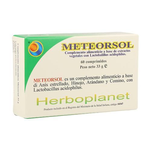 Herboplanet Meteorsol 36g 60 tablets of 36g on Productcaster.