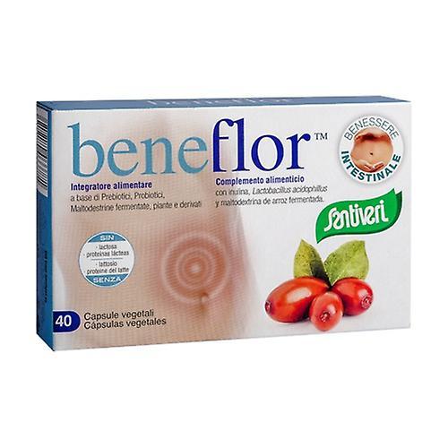 Santiveri Beneflor capsules 40 capsules on Productcaster.