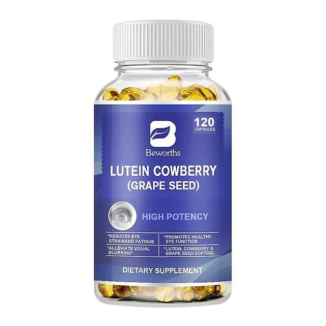 Visgaler Lutein Bilberry Capsule Supports Eye Health &eye Fatigue&dry Eye Improve Visual Ability Support Eye Vitamins For Vision 120pcs on Productcaster.