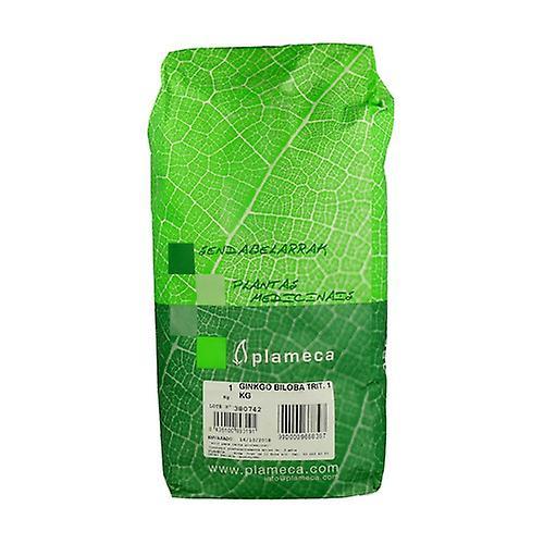 Plameca Shredded Ginkgo Biloba Herb 1 kg on Productcaster.