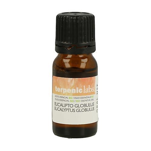 Terpenic Eucaliptus Globulus Essential Oil 10 ml of essential oil (Eucalyptus) on Productcaster.