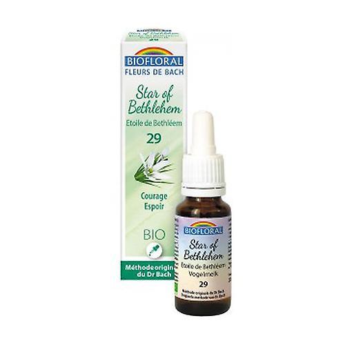 Biofloral Star of Bethlehem 20 ml of floral elixir on Productcaster.