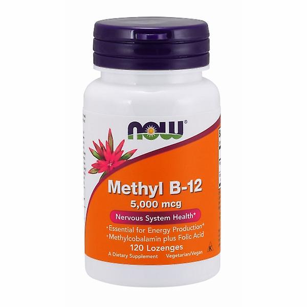 Now Foods Methyl B 12, 5000 mcg, 120 lozenges (Pack of 4) on Productcaster.