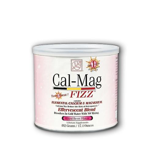 Baywood Solutions Baywood Cal-Mag Fizz, 492 gram (Mixed Berry) (Pak van 2) on Productcaster.