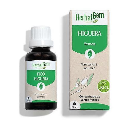 Herbalgem Fig drops Bio 30 ml on Productcaster.