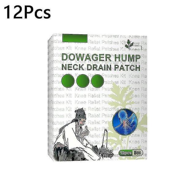 12 Pcs Knee Joint Patch Wormwood Extract Cervical Spine Knee Joint Pain Relief P on Productcaster.