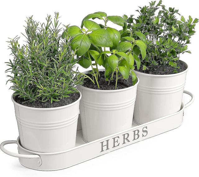 -yard s Herb en Planter Indoor-Pflanzkübel-Set mit Tablett oder Outdoor-Ow-Pflanzkasten, Ill Pflanzkasten, Ind | Fruugo Nl on Productcaster.