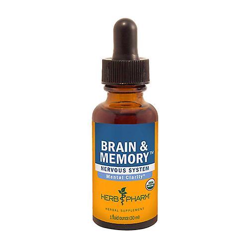 Herb Pharm Brain & Memory Tonic, 1 uncja (opakowanie 6 sztuk) on Productcaster.