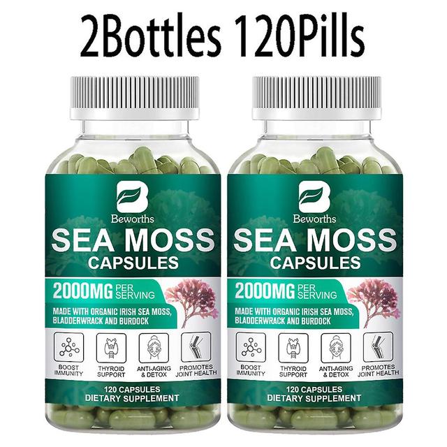 Huamade 120pc Organic Sea Moss Pill Plus Bladder & Burdock Root For Intestinal Health & Immune Support & Thyroid Supplements 2bottles 120 pills on Productcaster.