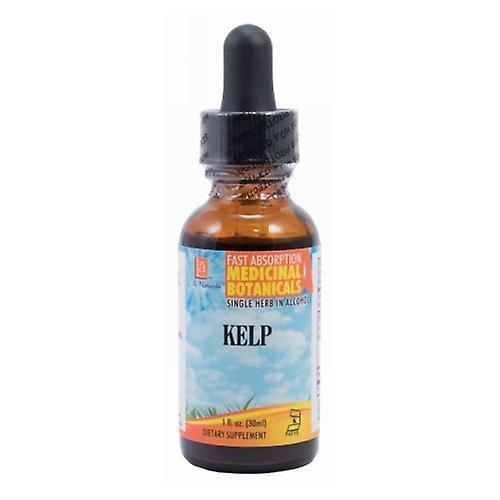 LA Naturals L. A. . Naturals Kelp, 1 Oz (balenie po 1) on Productcaster.