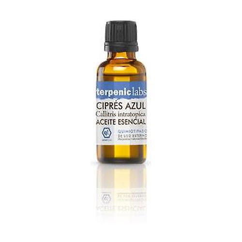 Terpenic Blue Cypress Essential Oil 30 ml of essential oil on Productcaster.