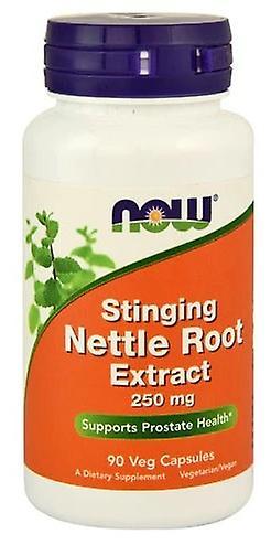 Now Foods Nettle Root Extract 250 mg 90 Vegetable Capsules 90 gr on Productcaster.