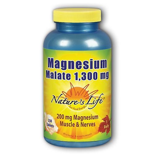 Nature's Life Magnesium Malate, 1300 mg, 250 tabs (Pack of 2) on Productcaster.