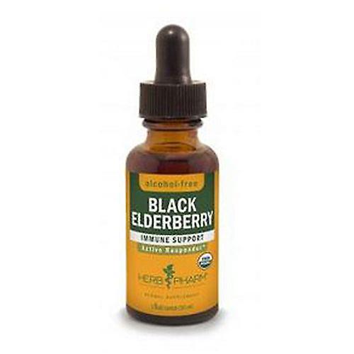 Herb Pharm Black Hyldebær Glycerite, 1 Oz (Pack af 2) on Productcaster.